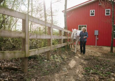 equine-life-coaching-north-carolina