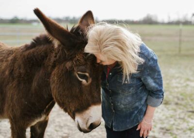 healing-from-abuse-with-horses-benson-nc